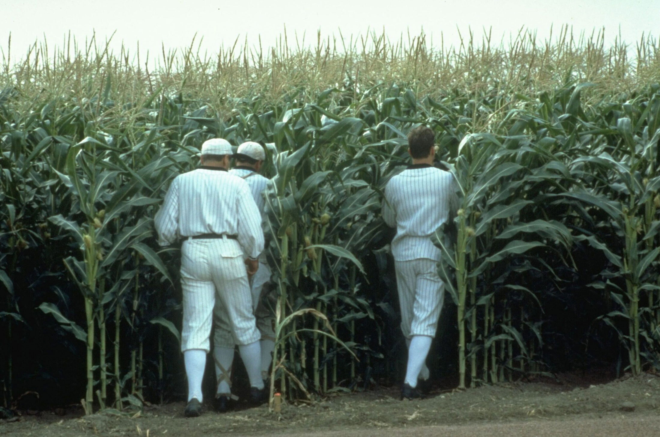 Field of Dreams