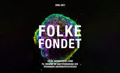 Forside rapport