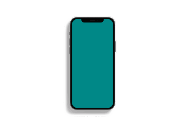 iPhone 12 mockup