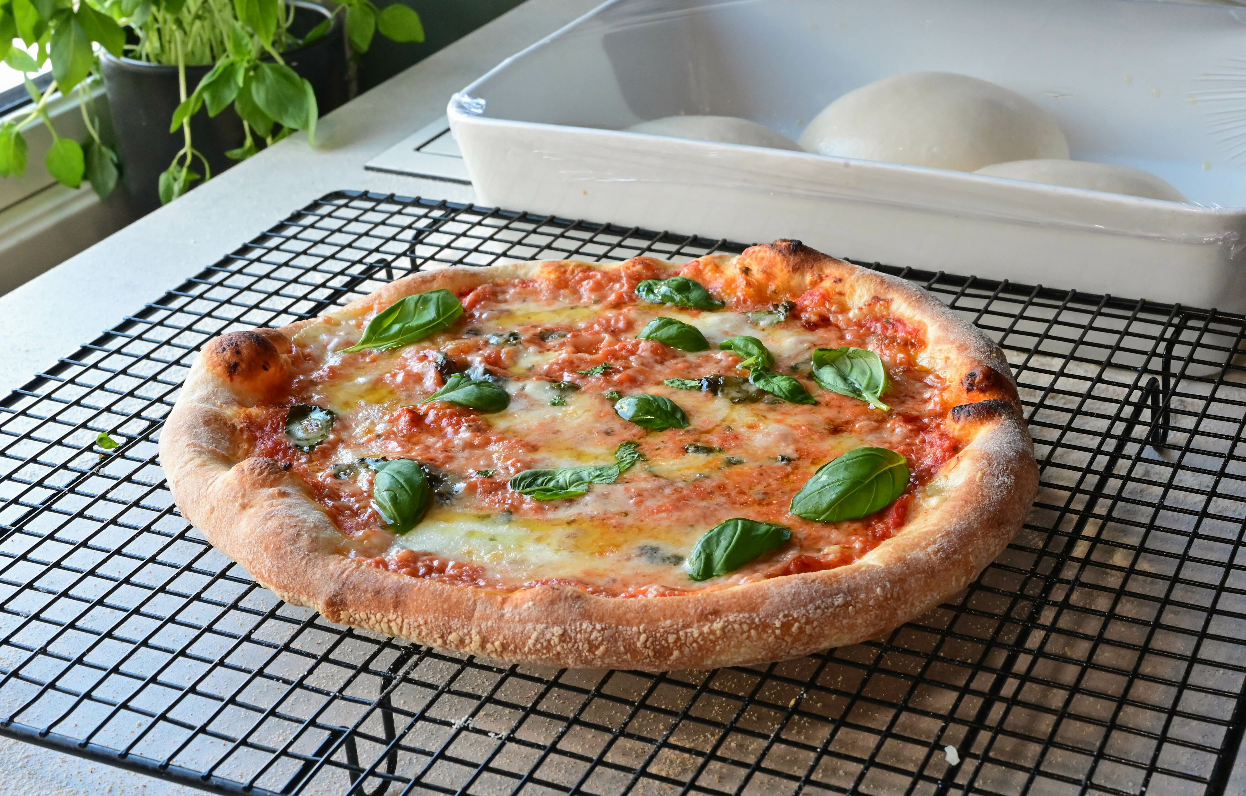 Napolitansk Pizza med poolish - Luftig og sprø skorpe! | Gladkokken