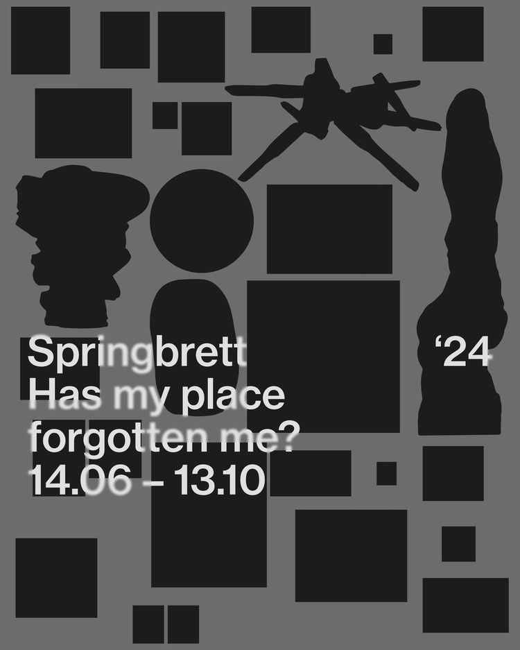 01 springbrett24 ea p