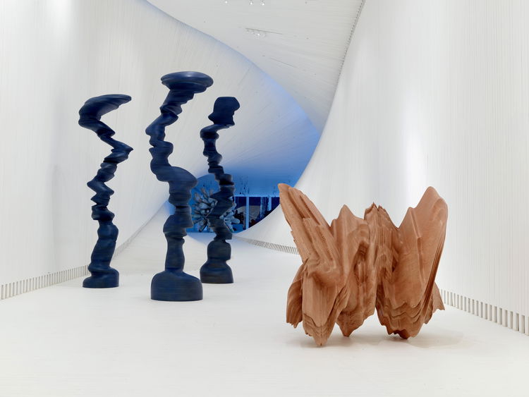 Tony Cragg