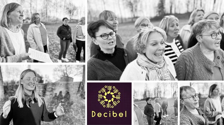 Decibel collage svarthvitt 1