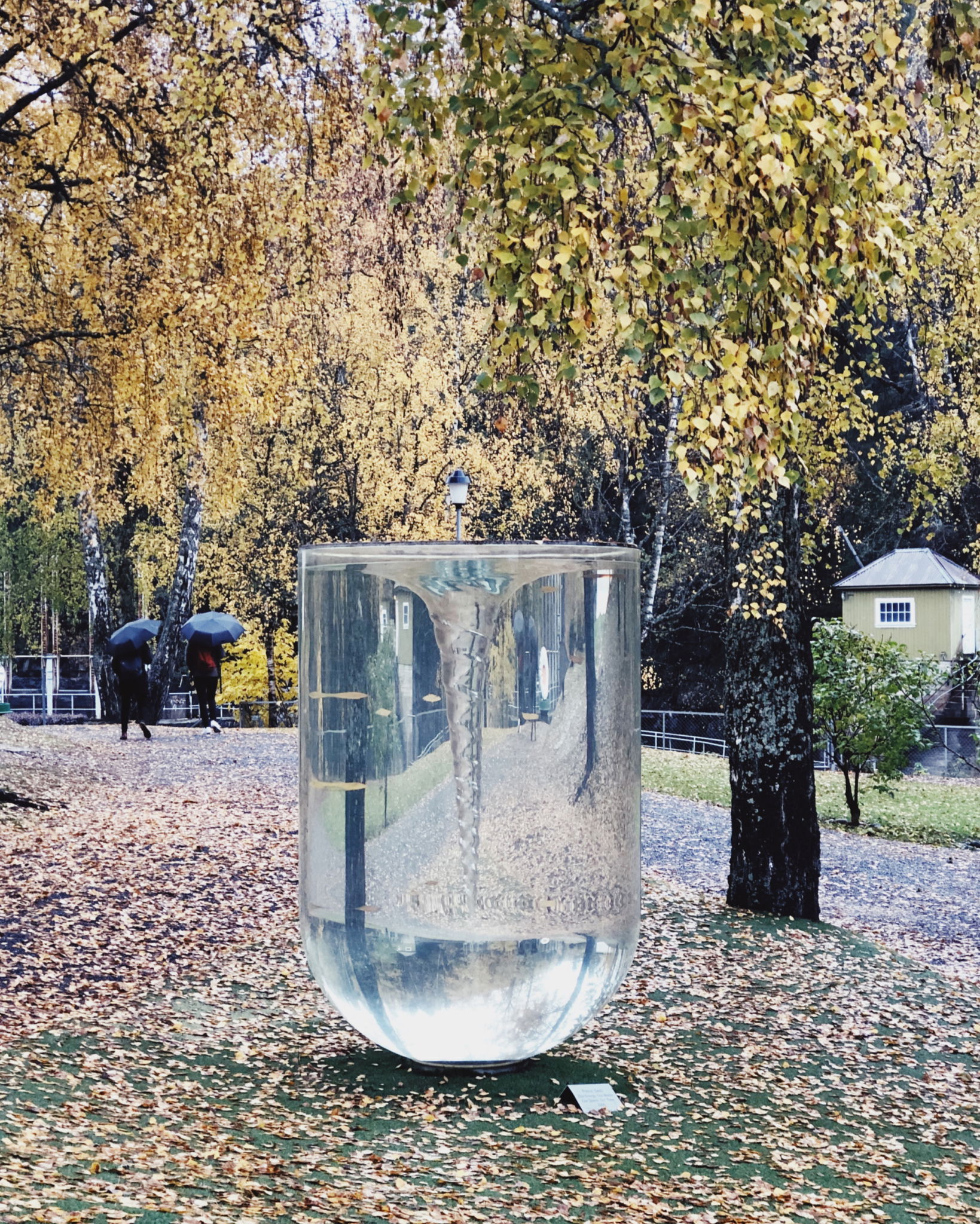 FAA13 BC0 2 B40 47 E2 A3 BF ECD54 DA7 BA06 2