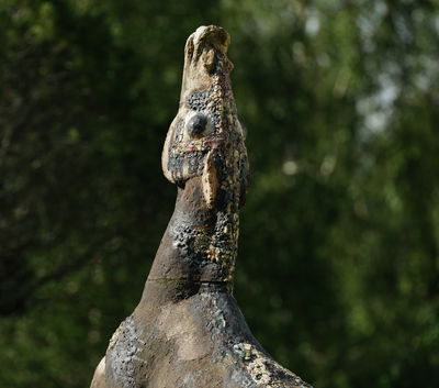 K Istefos EA Beate Juell Hingst 0020