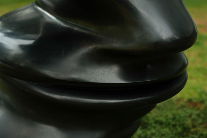 Kistefos EA Tony Cragg Bent of Mind 0016