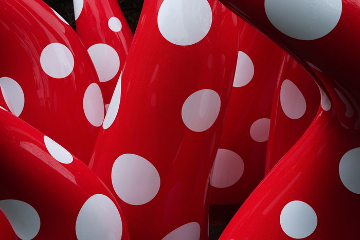 Kistefos Museet EA Yayoi Kusama 0001 100