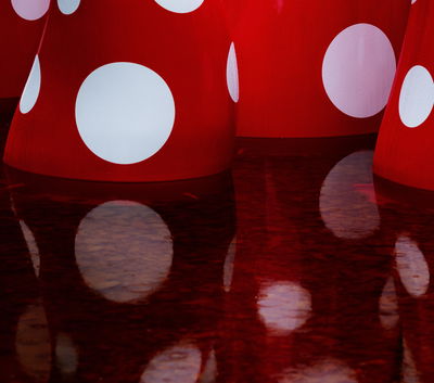 Kistefos Museet EA Yayoi Kusama 0001 164