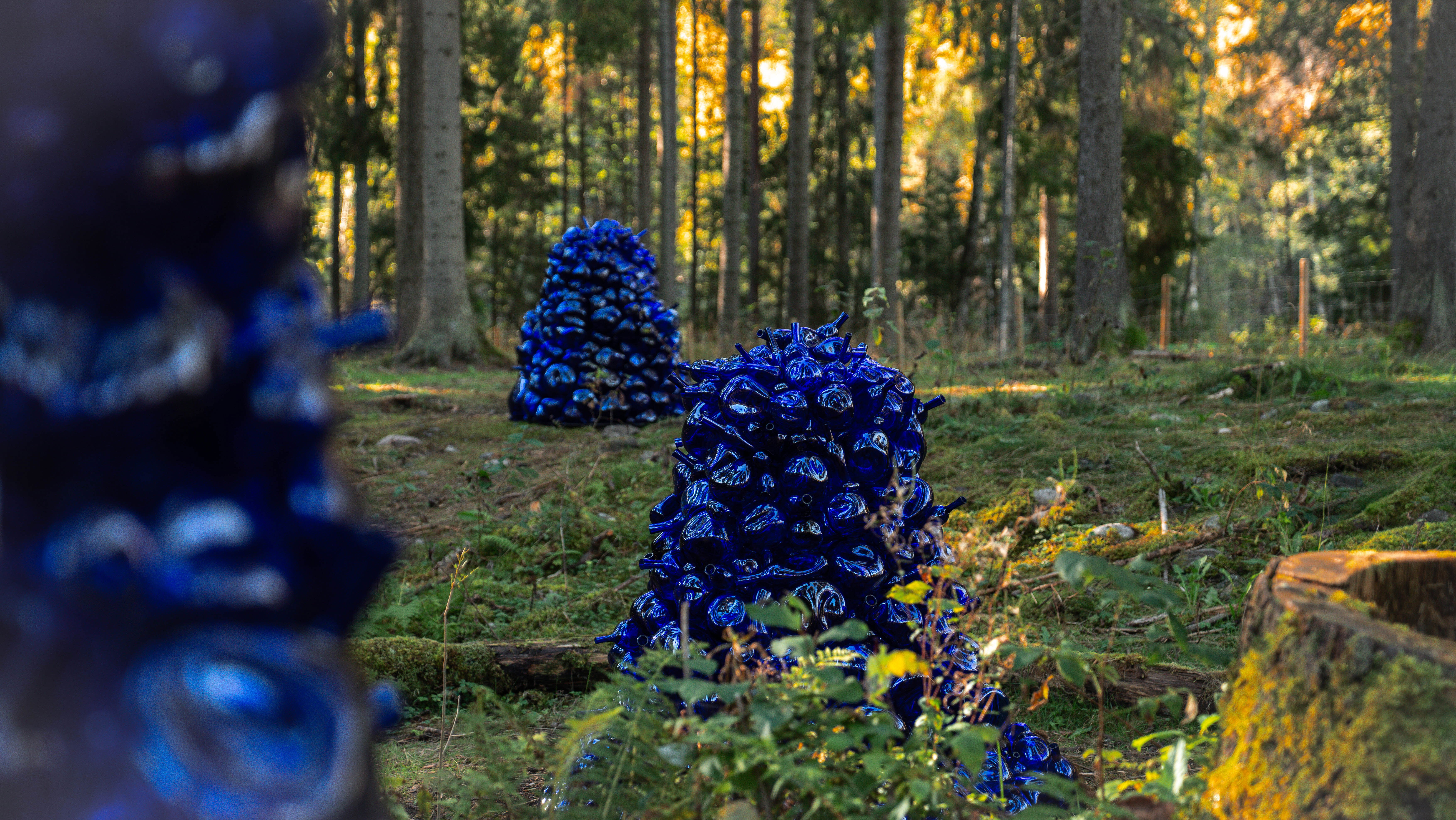 Kistefos hostbilder 54 2