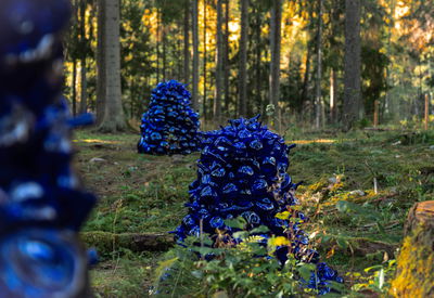 Kistefos hostbilder 54 2