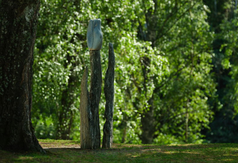 Kistefos EA Edgar Ballo Blue Tulip 15618