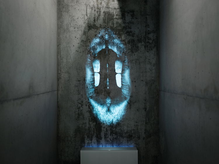 Kistefos EA Tony Oursler 0221 web