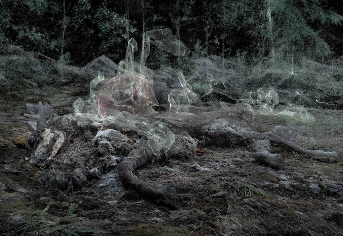 Pierre Huyghe Variants