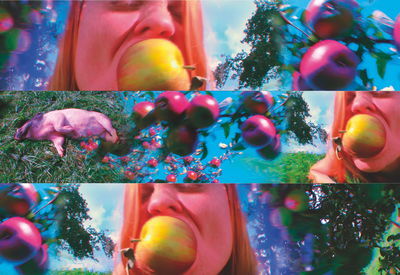 Pipilotti Rist