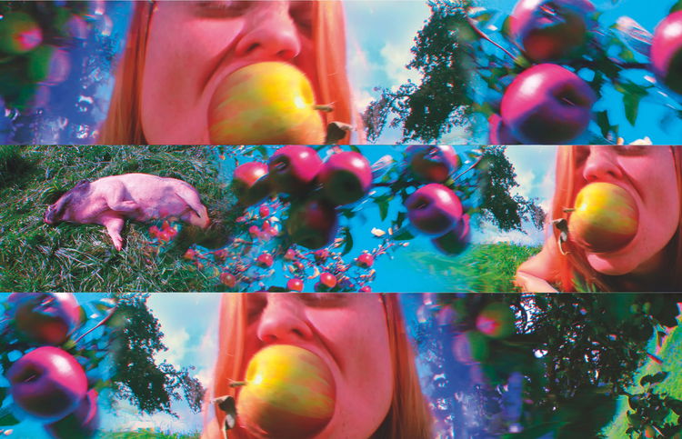 Pipilotti Rist