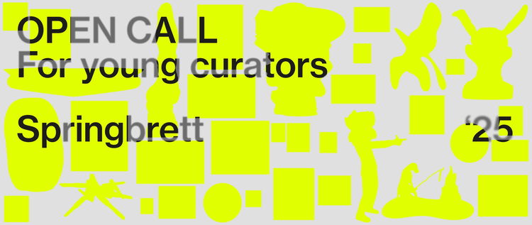 Springbrett25 launch web