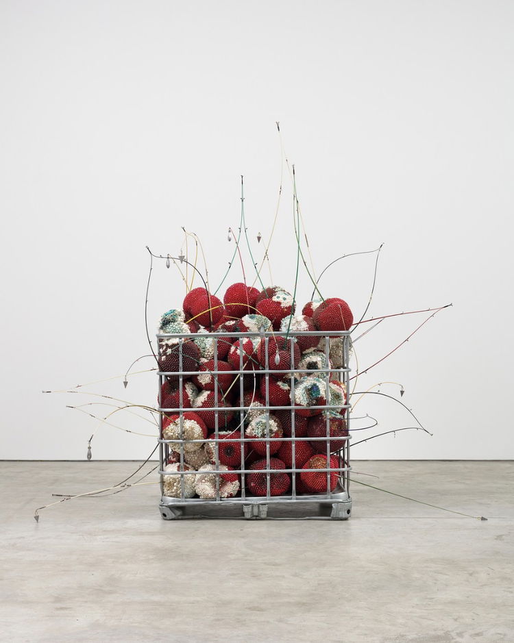 Kathleen Ryan, «Bad Cherries»