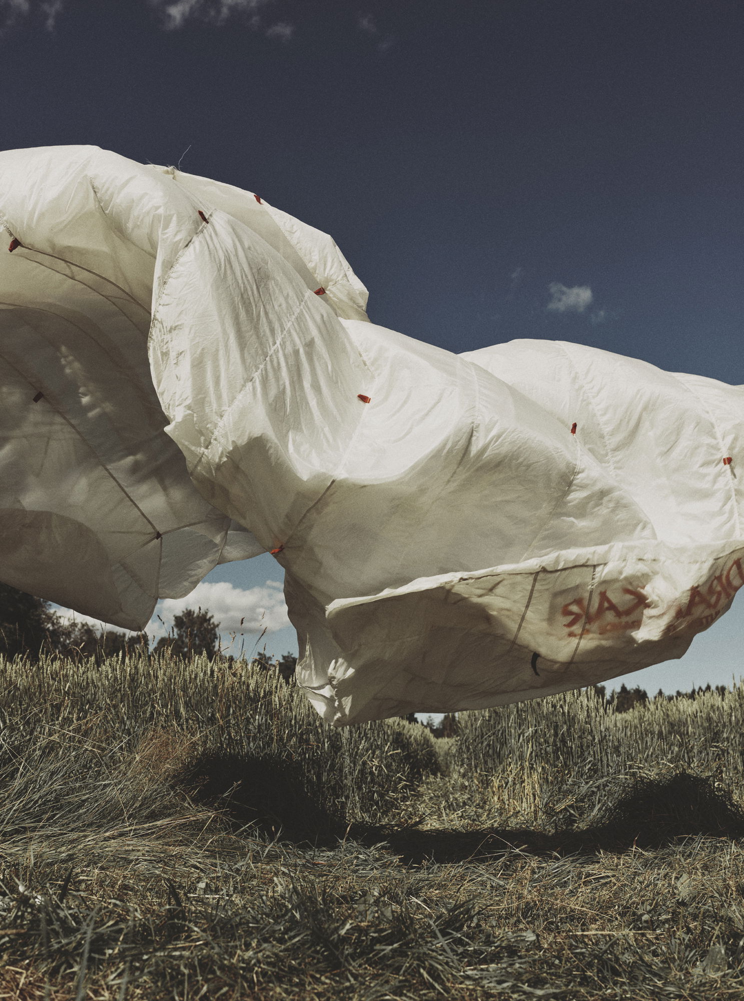 Landscape SS23 26860