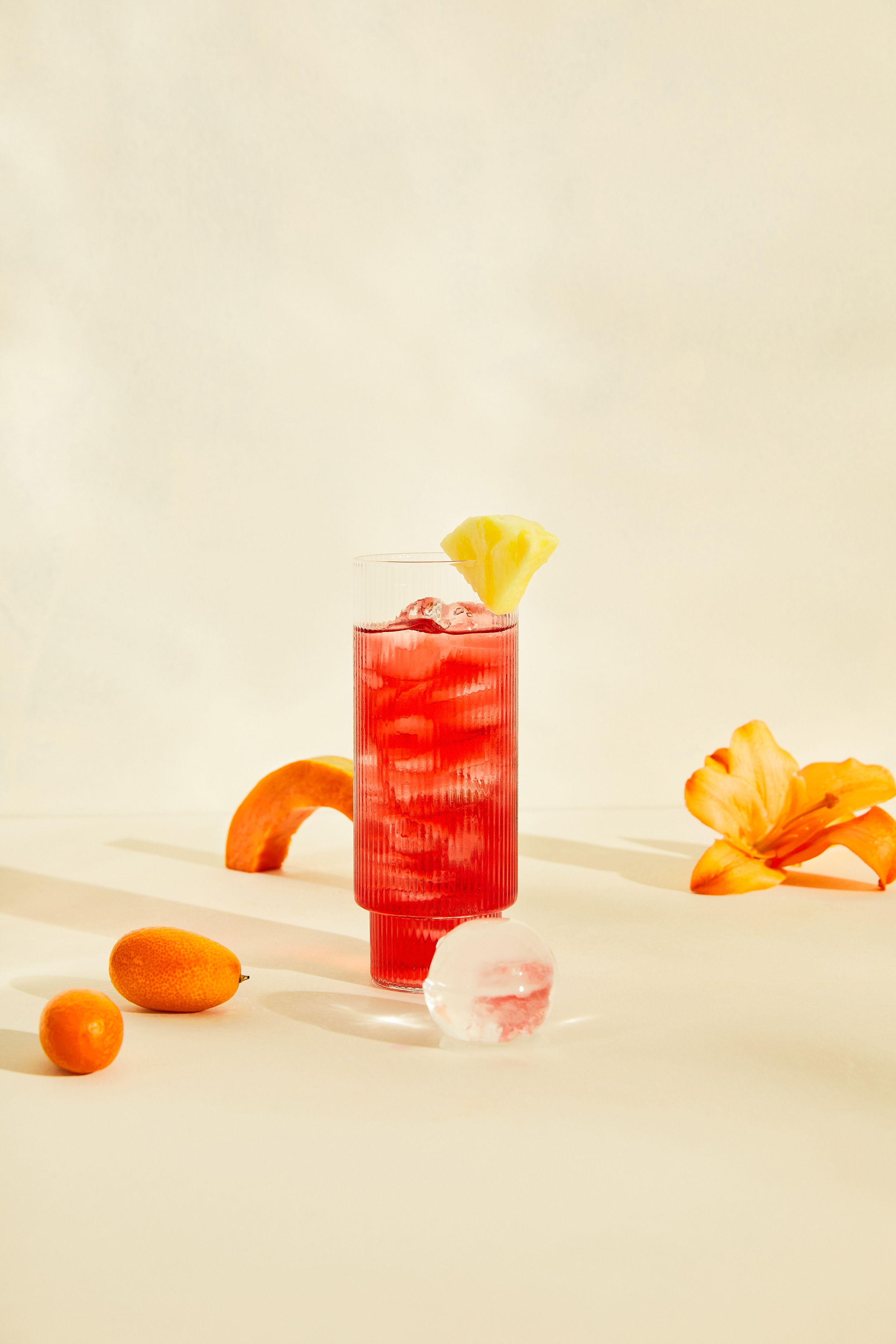 SAS Black Cat iste0304 web