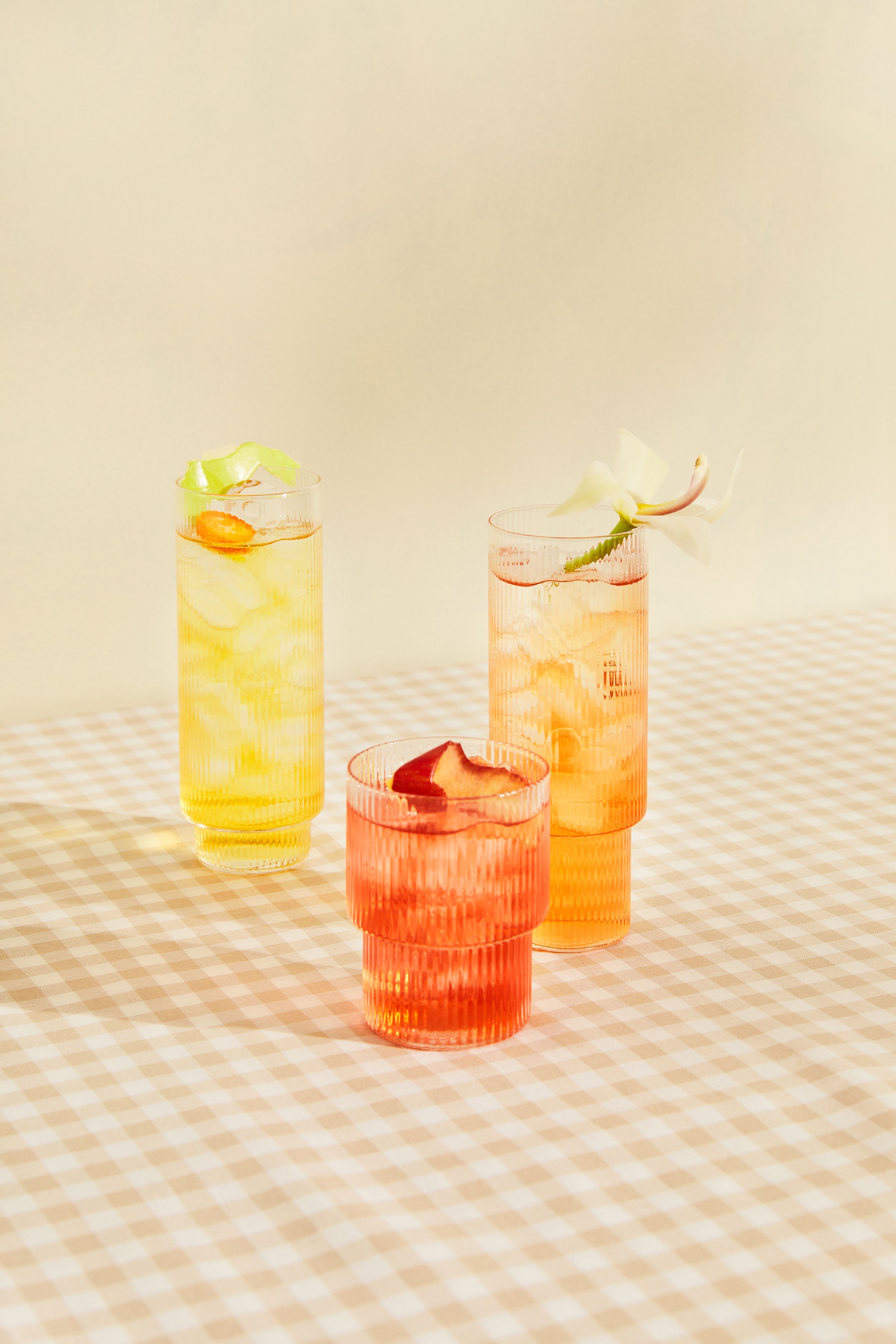 SAS Black Cat iste0509 web