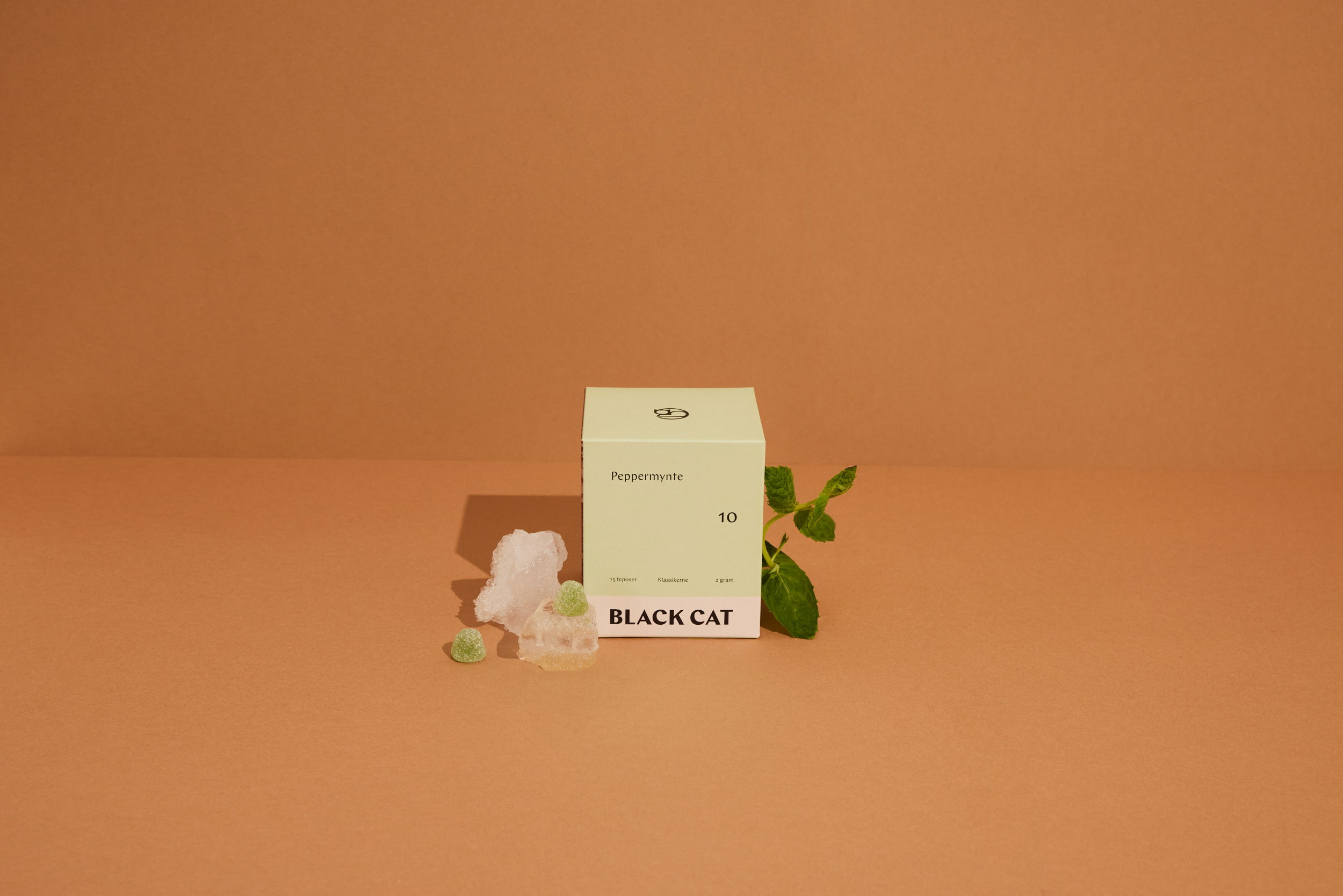 SAS Black Cat Klassikere 01 10621 web