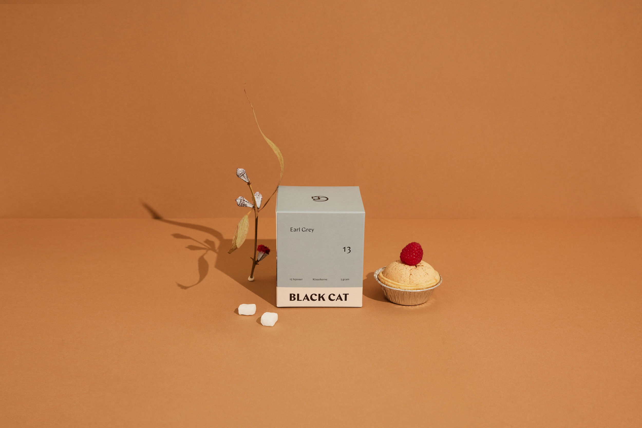 SAS Black Cat Klassikere 01 10650 web