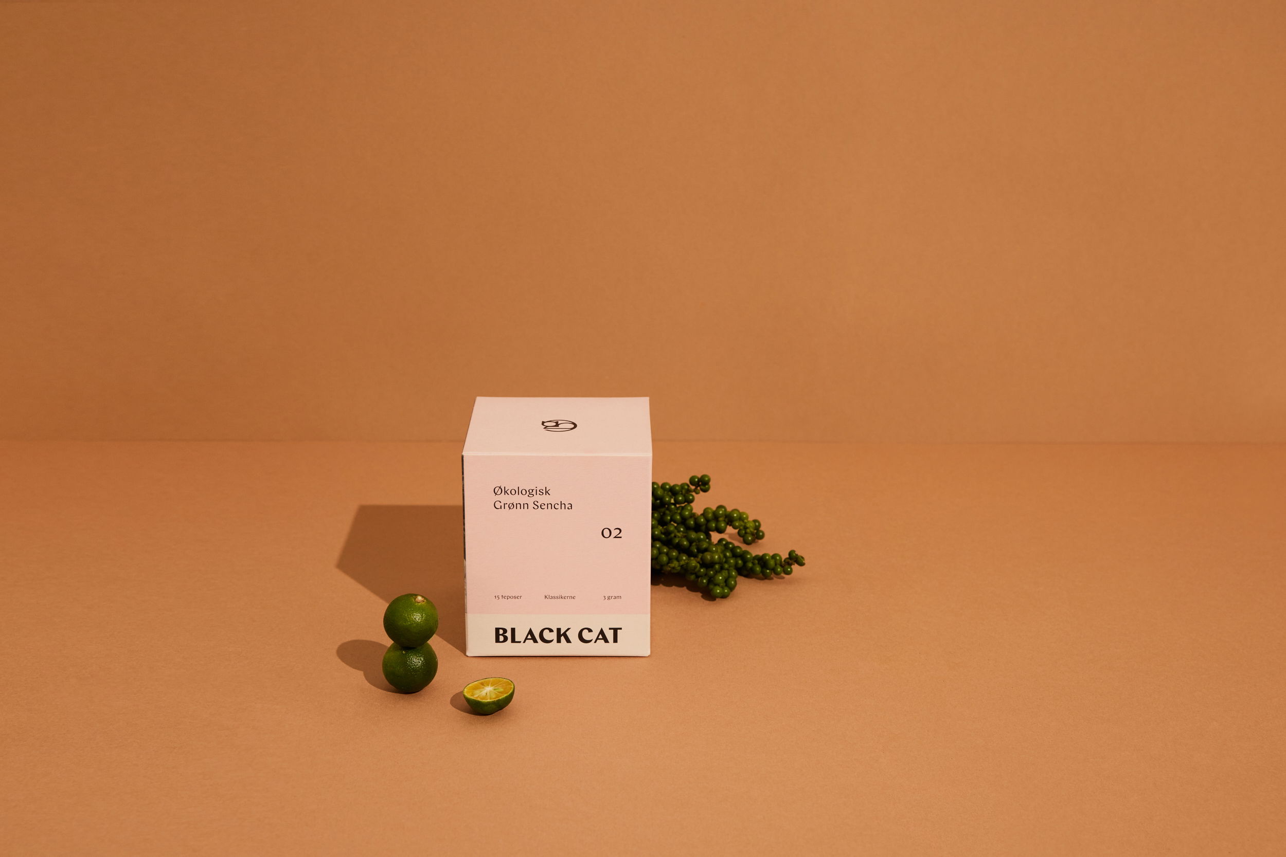 SAS Black Cat Klassikere 01 10743 web