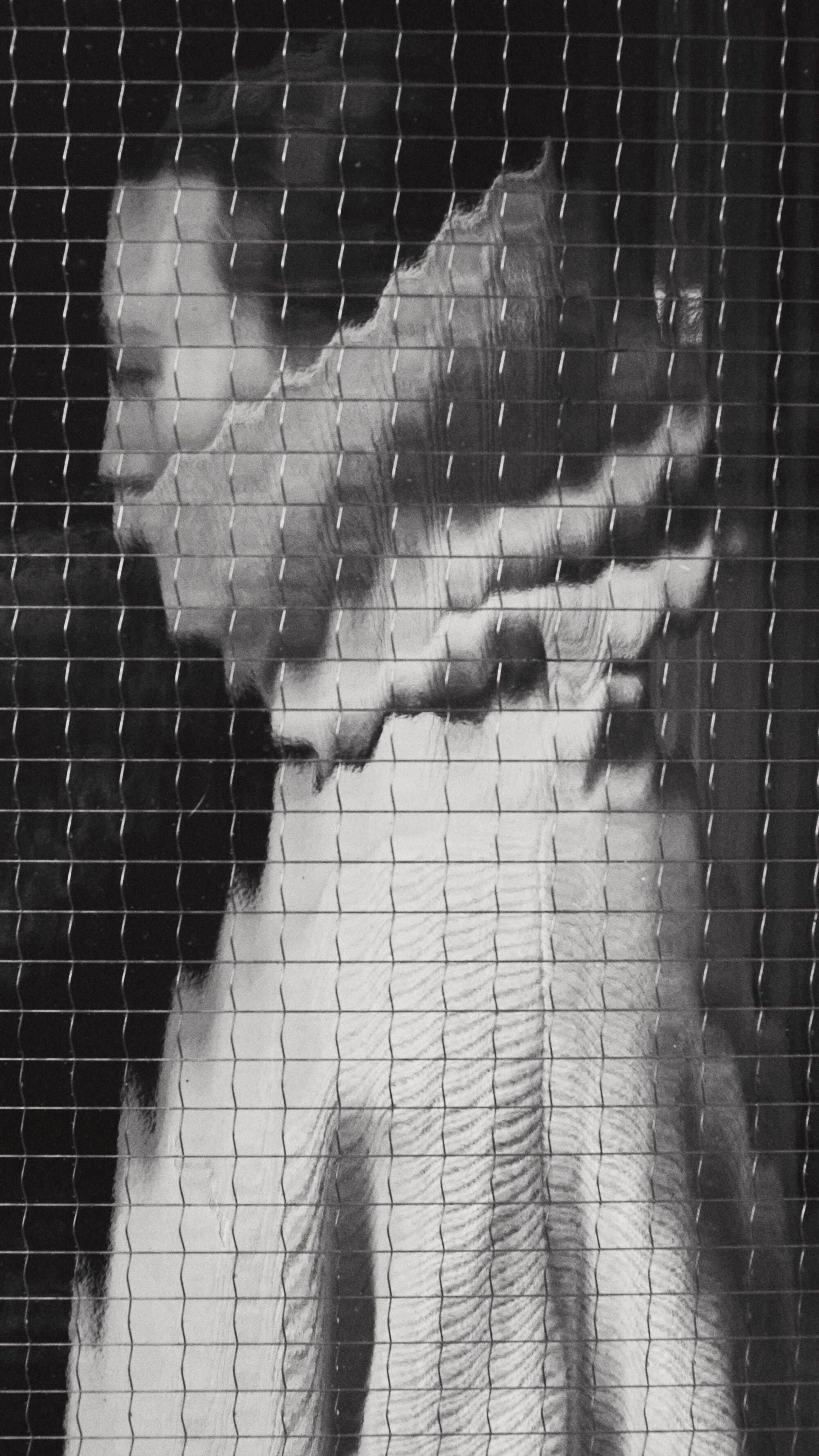 PLATEAU WEB 16 X9 11