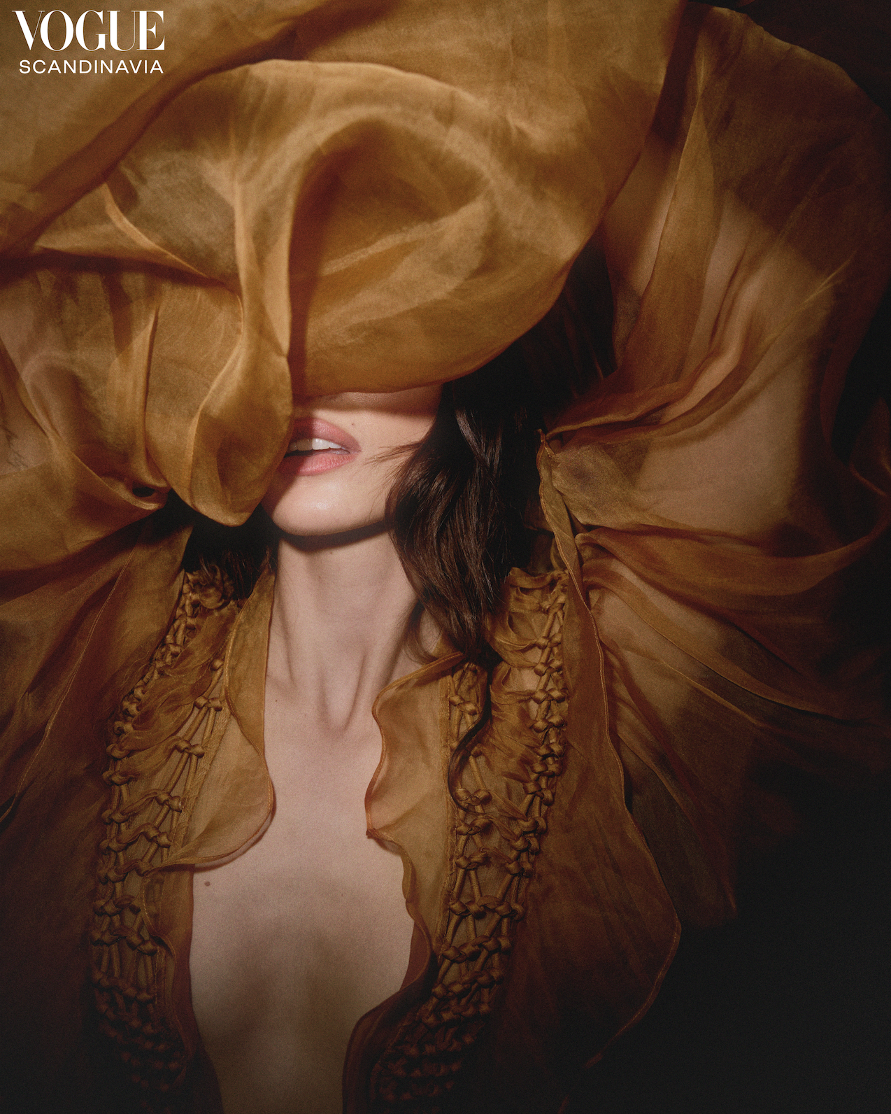 Skjermbilde 2025 06 17 kl 12 28 46