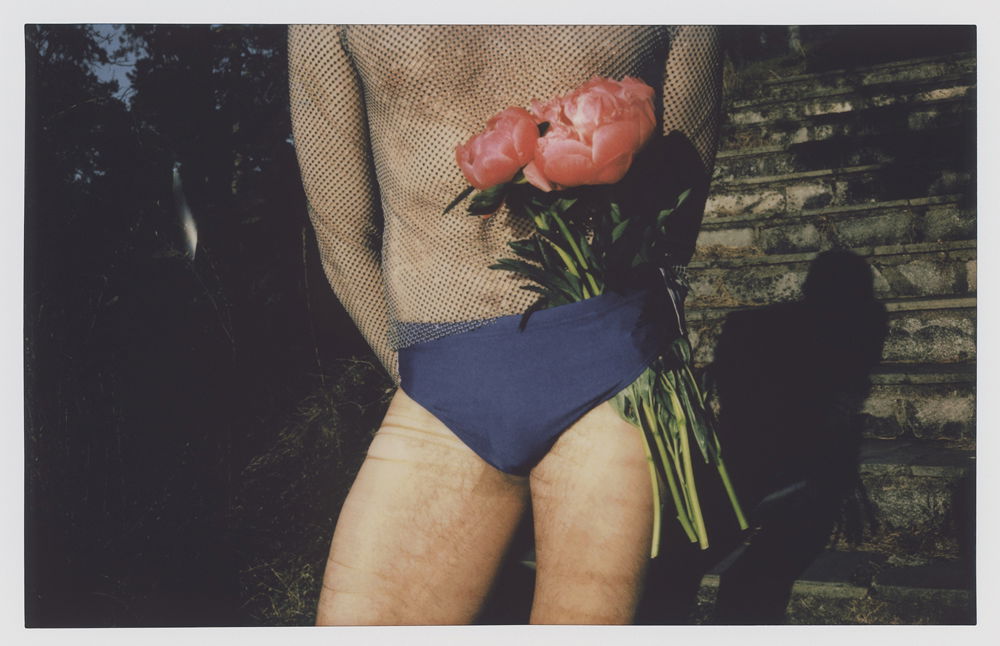 Metteson Foto Julie Pike 31