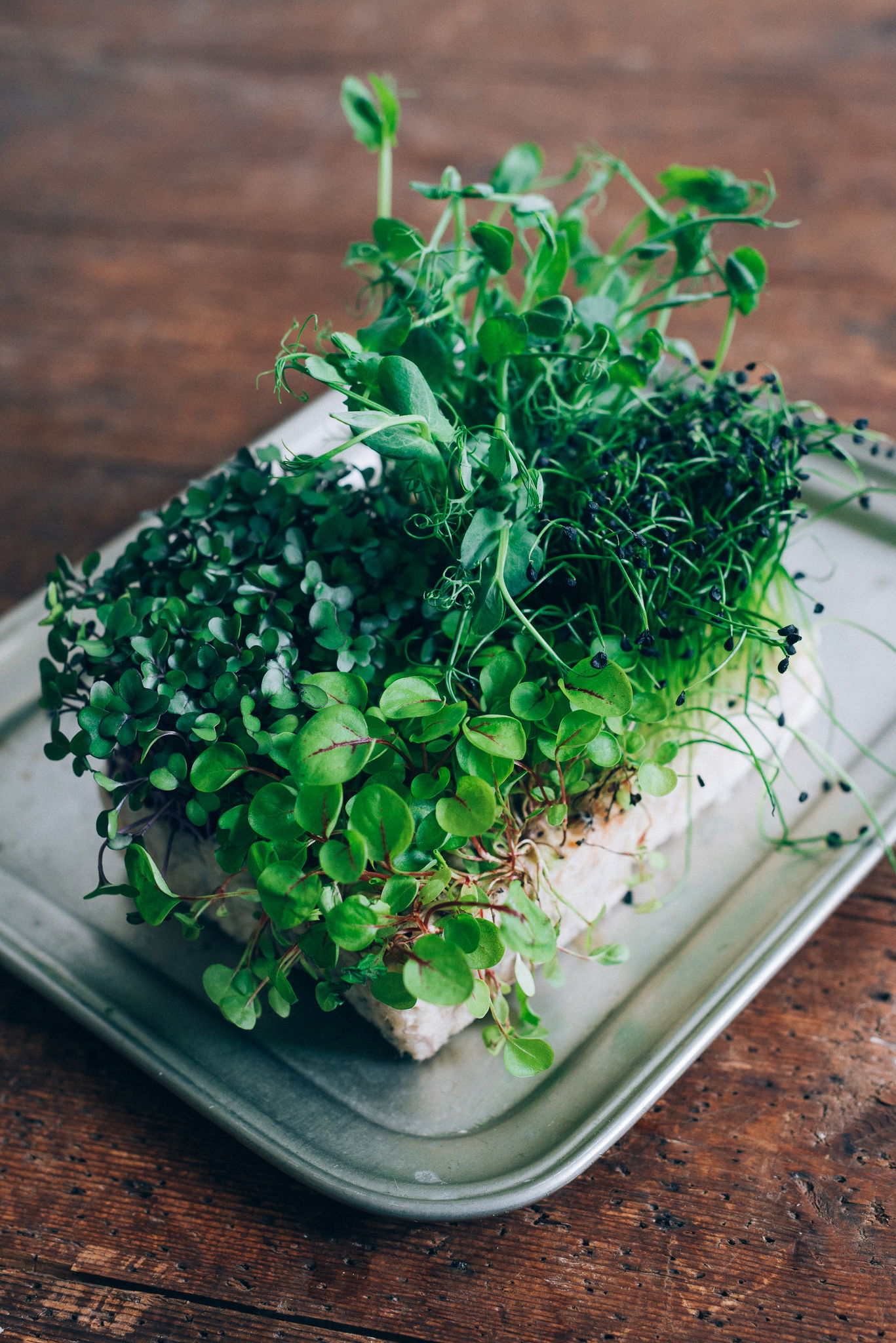 Juliesgronnekjokken 05