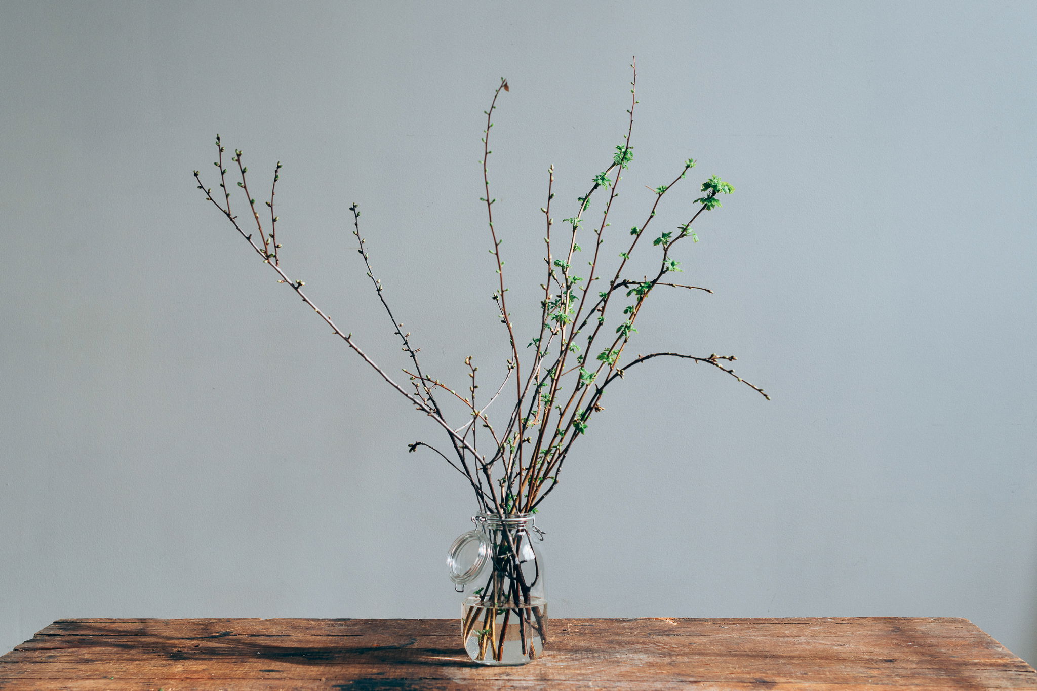 Juliesgronnekjokken 07