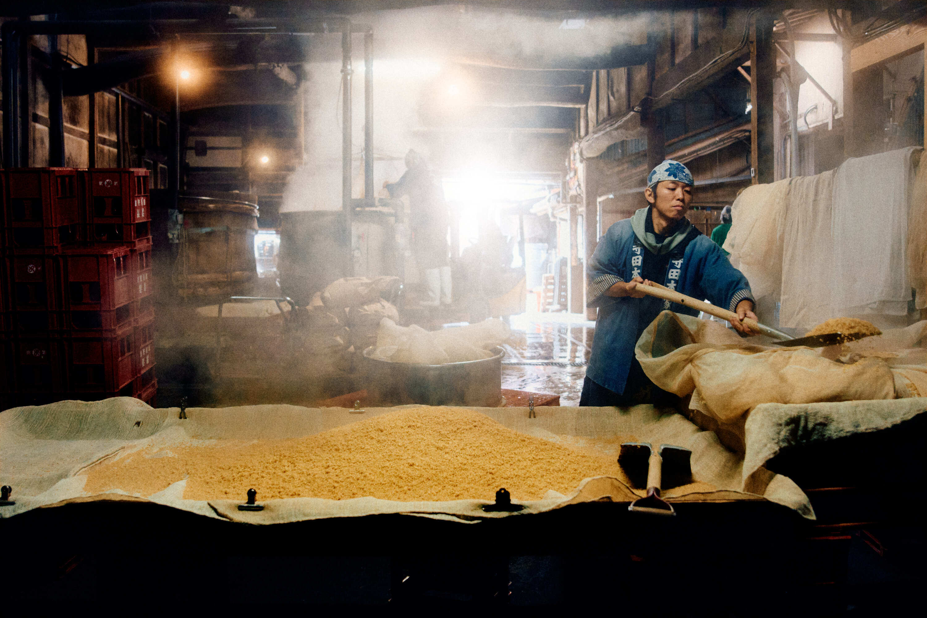 Terada Honke AVE 8077 web