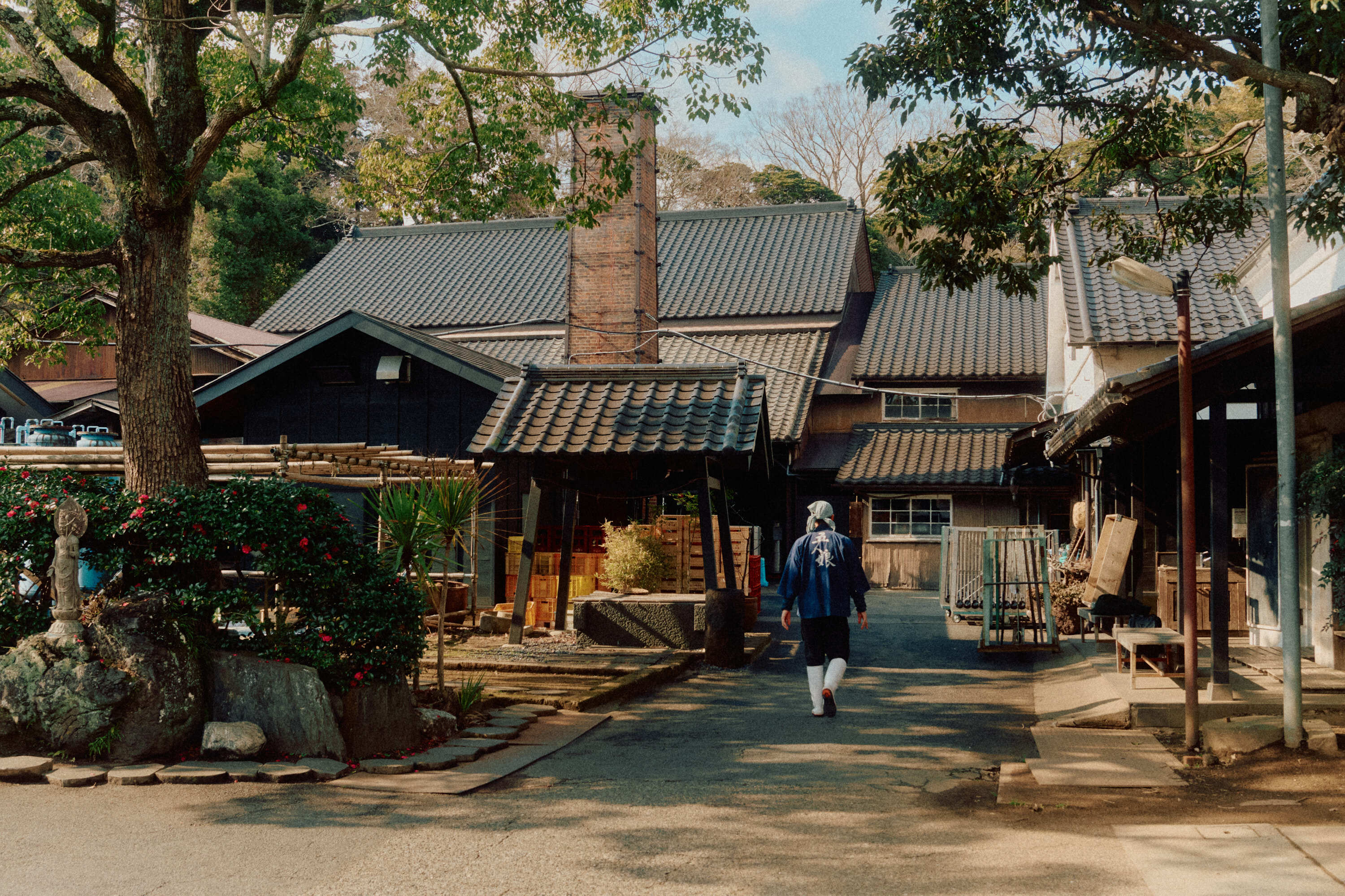 Terada Honke AVE 8877 web