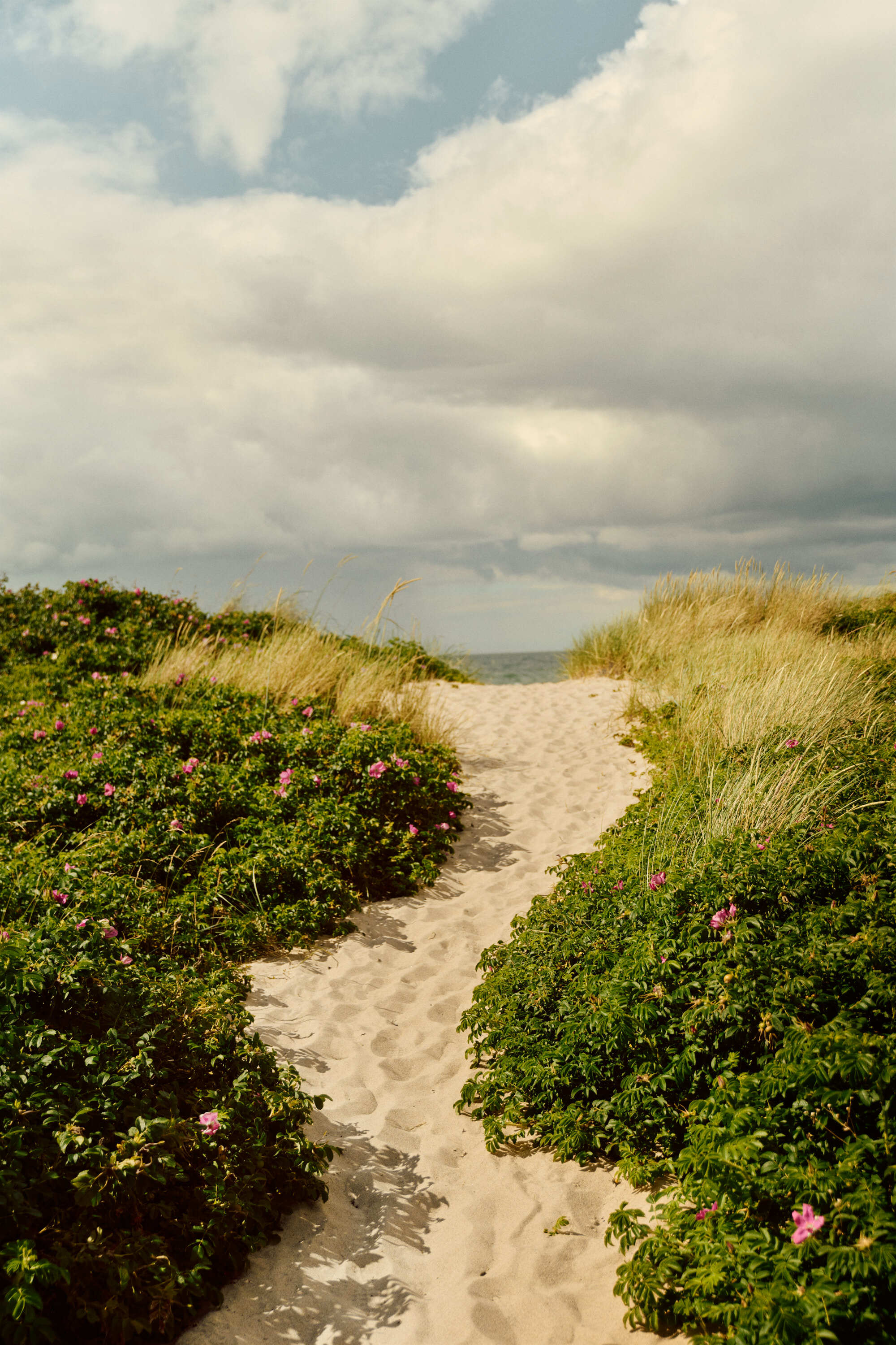 AVE 7037 Tisvilde Anne Valeur