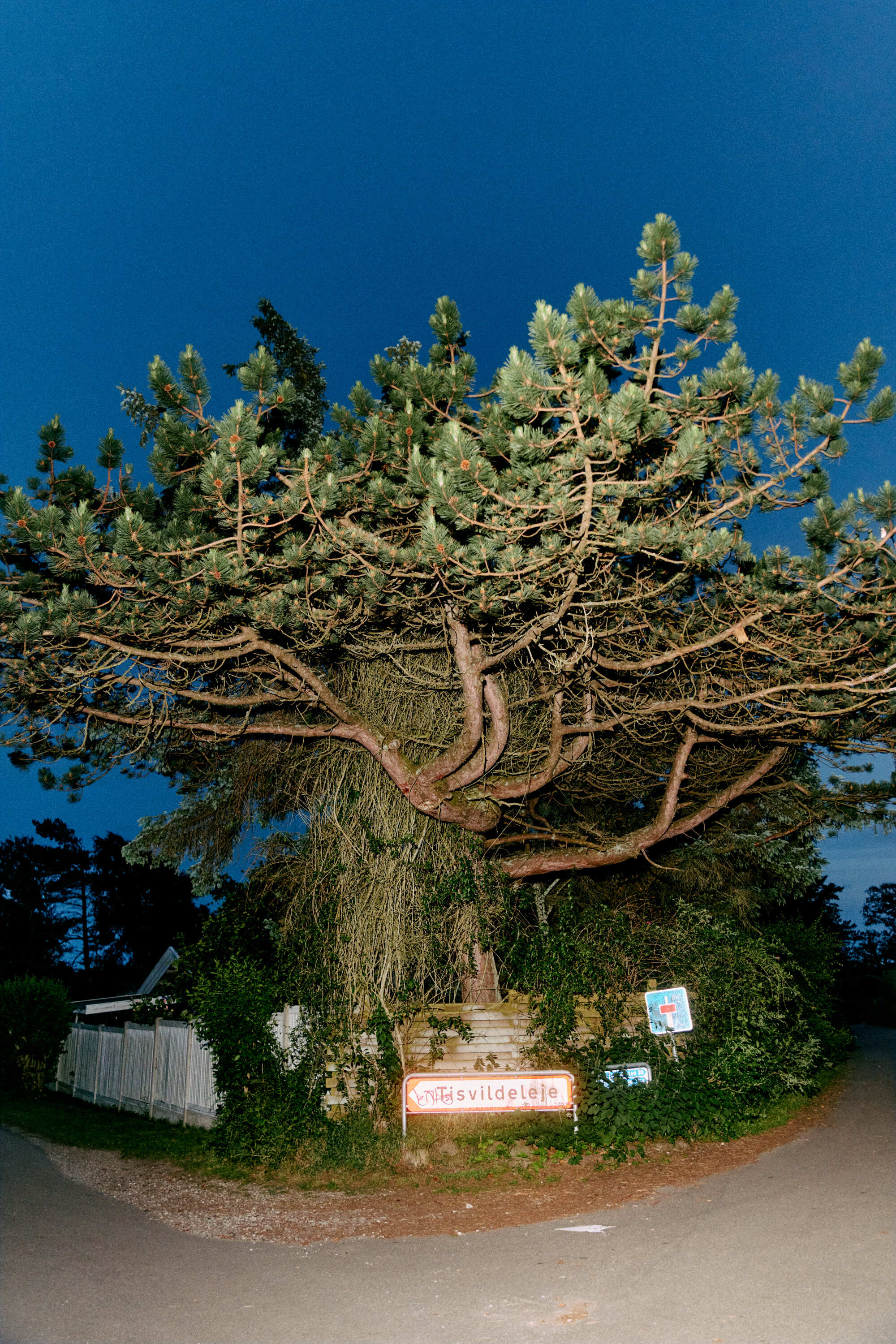 AVE 7485 Tisvilde Anne Valeur