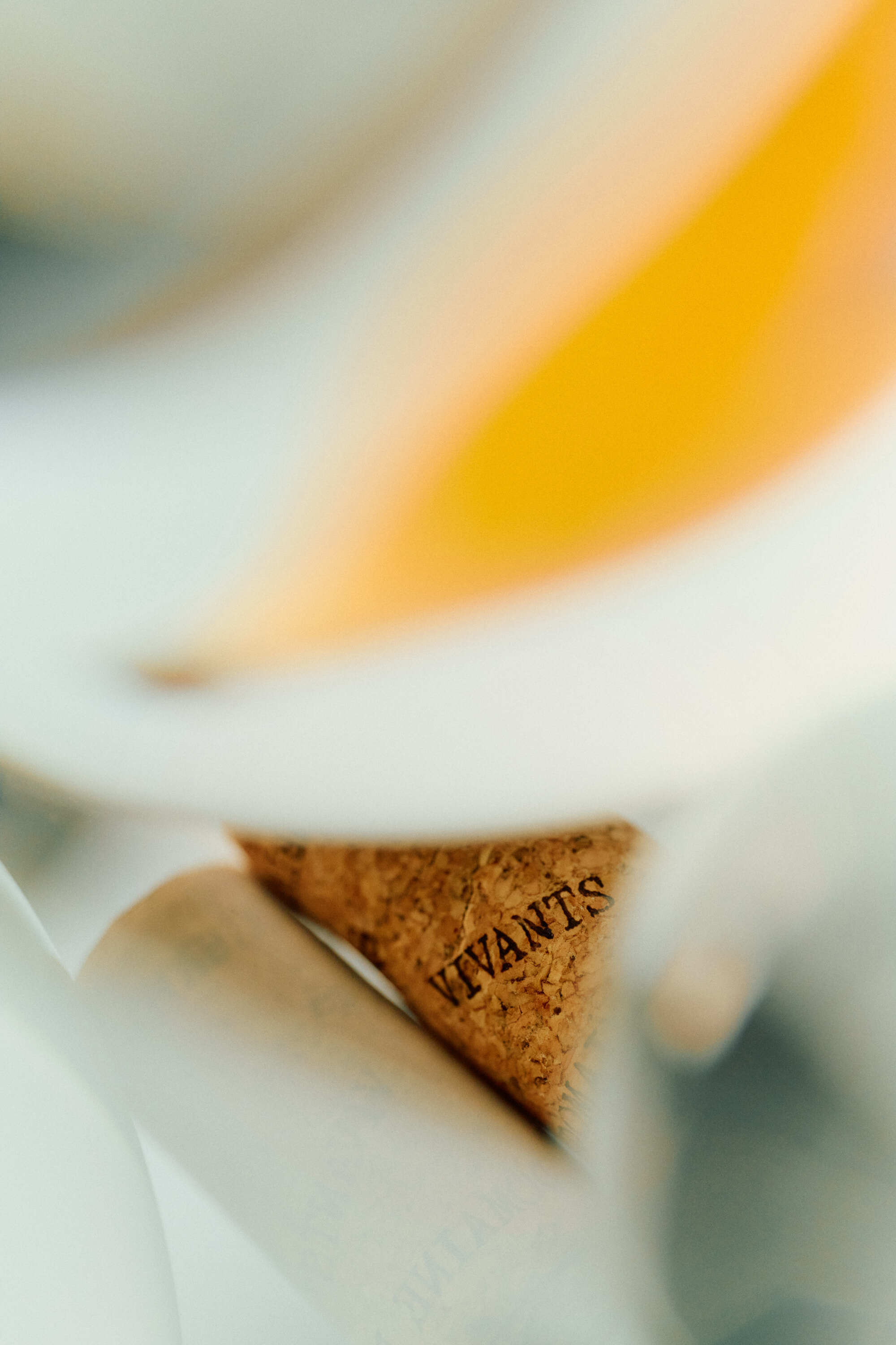 Domaine de Garbelle 4101 Anne Valeur