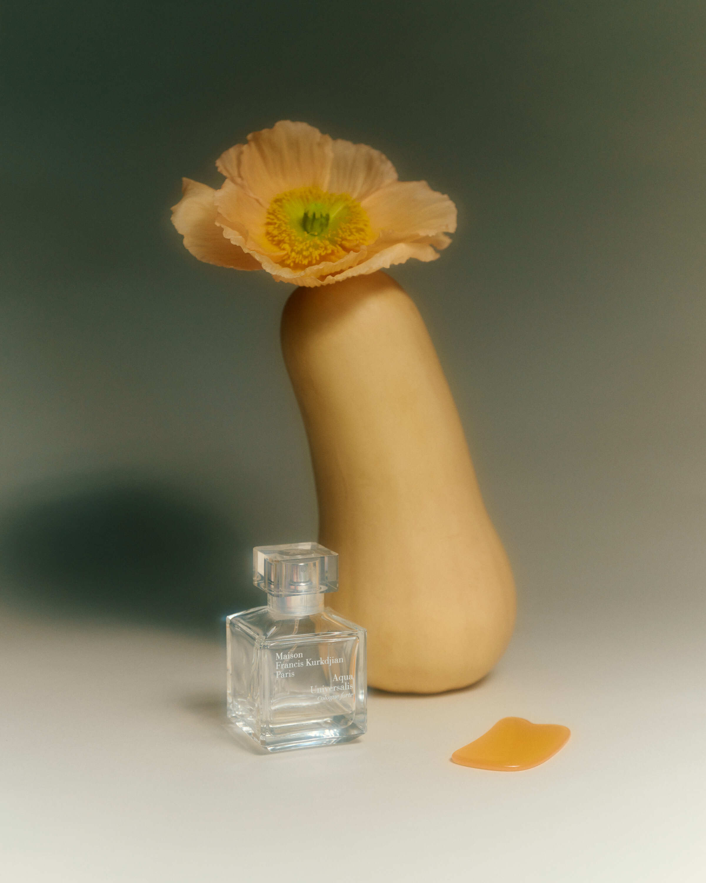 Live Anne 7247 1 web