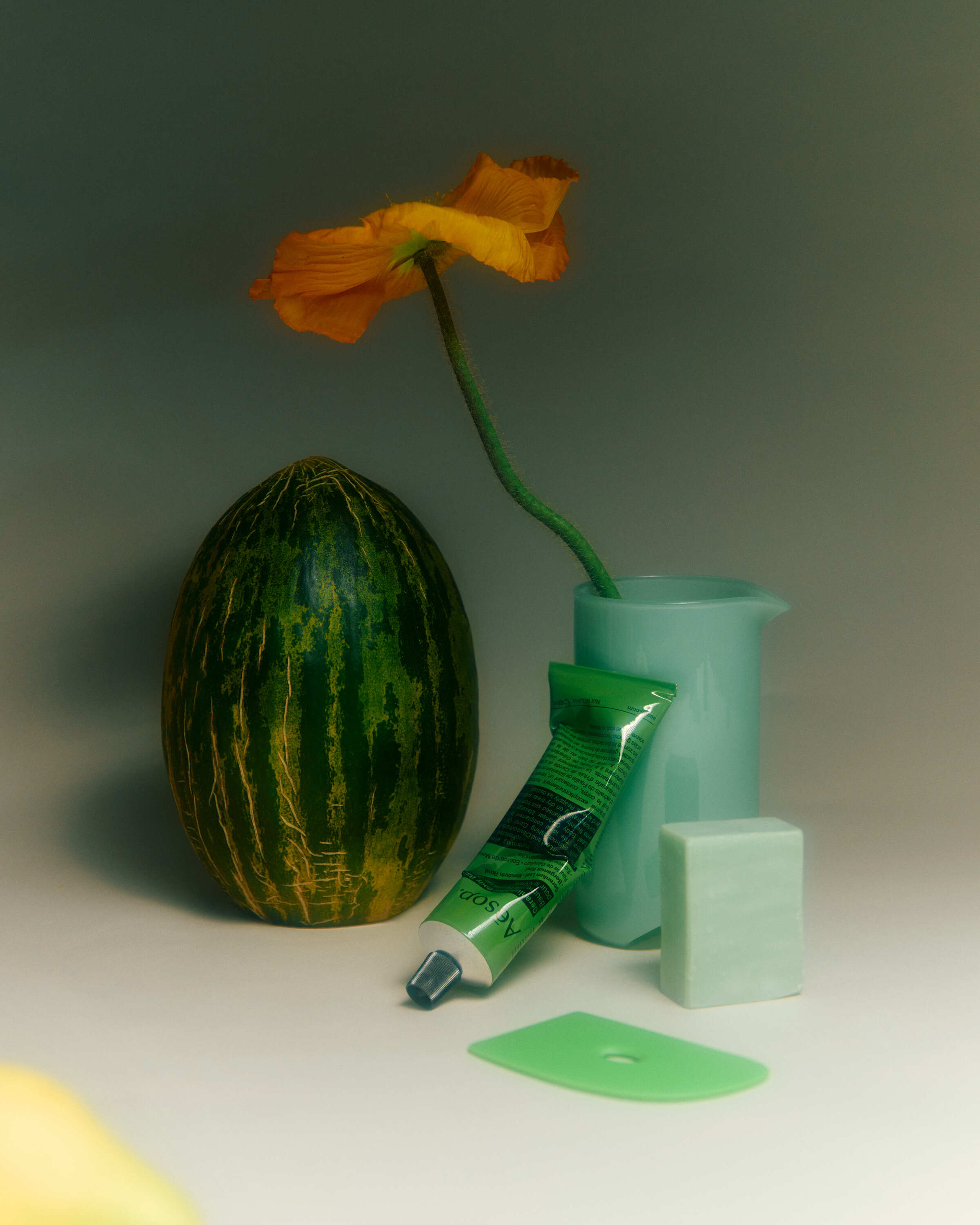 Live Anne 7276 1 web