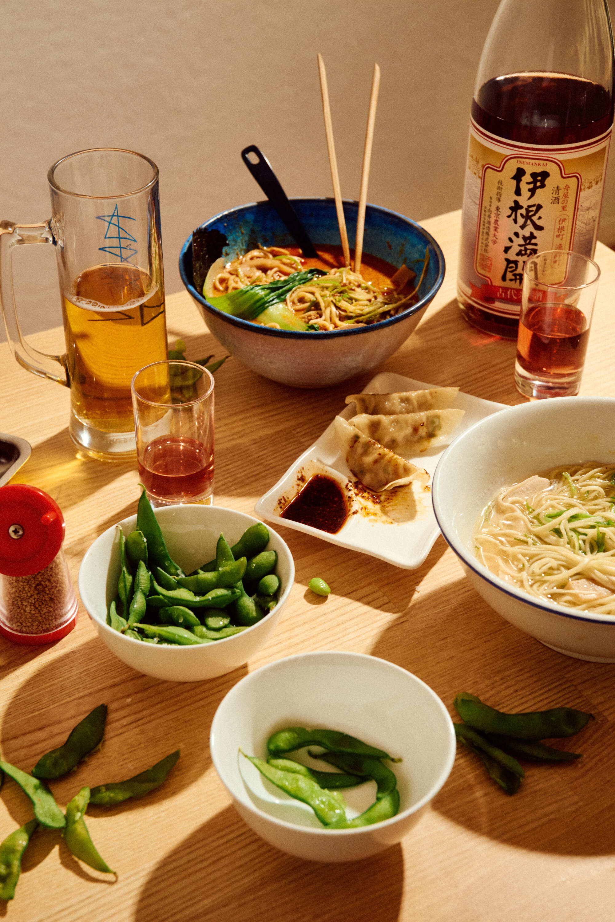 Koie AVE3802 Anne Valeur