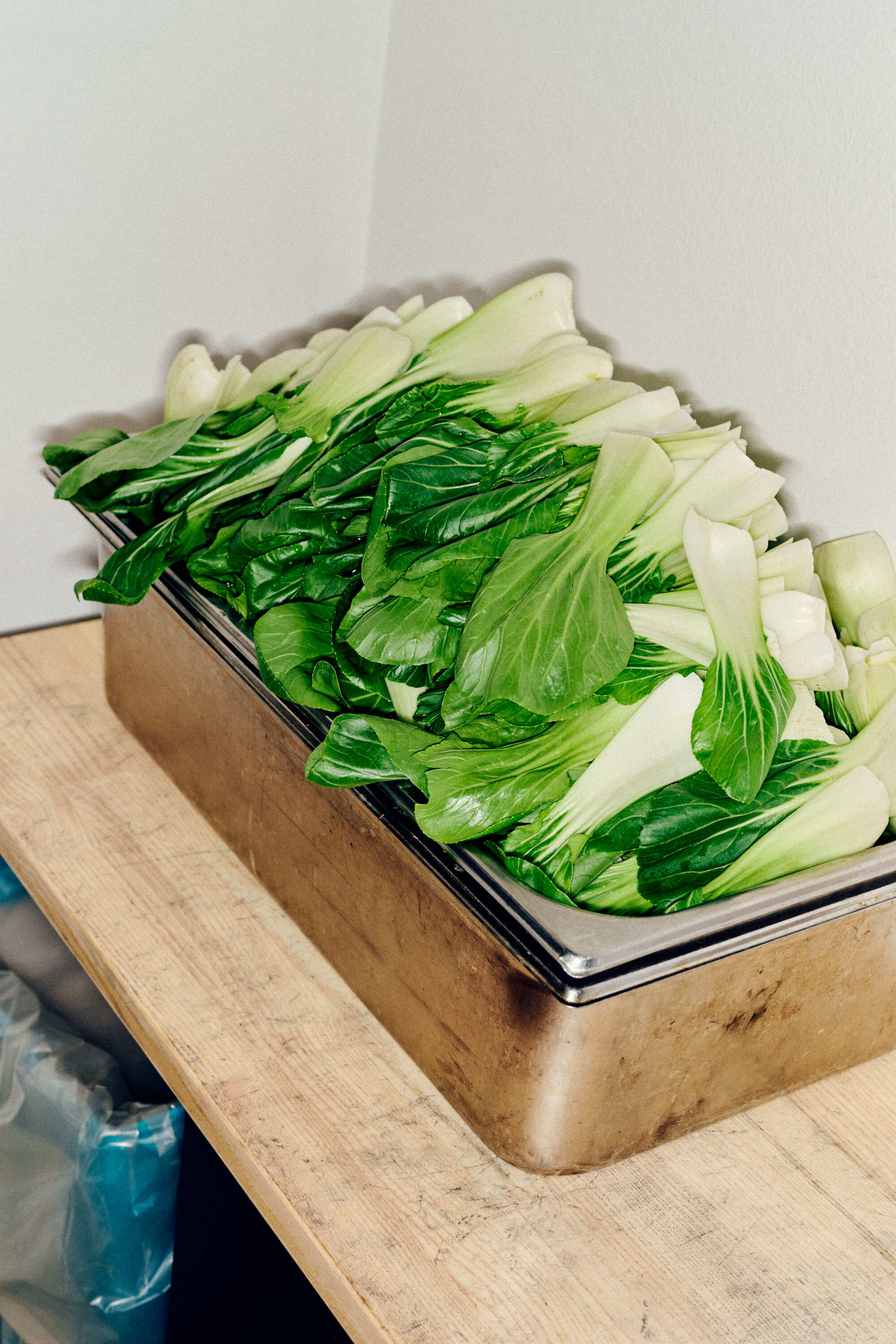 Koie AVE4444 Anne Valeur