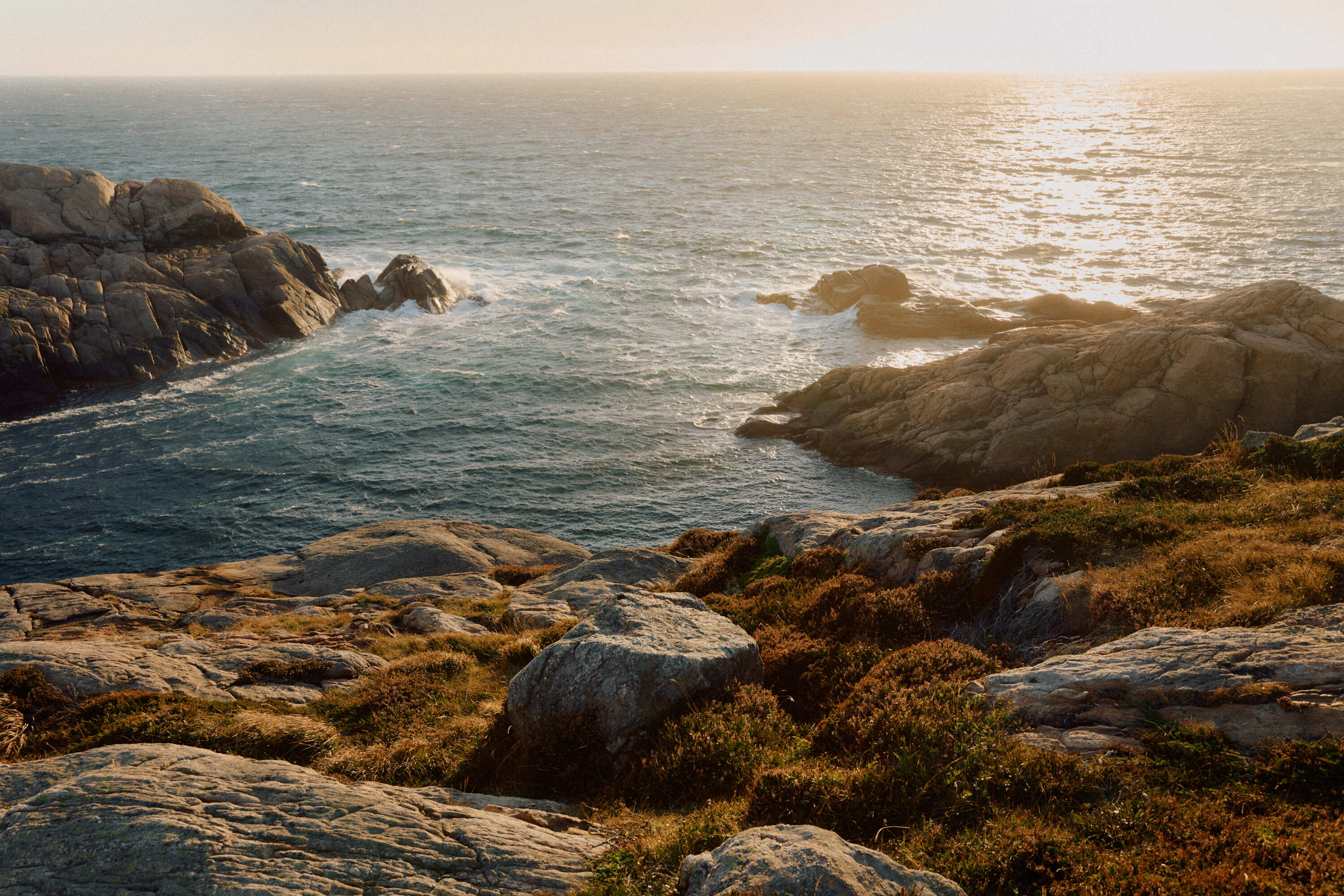 AVE3783 Anne Valeur web