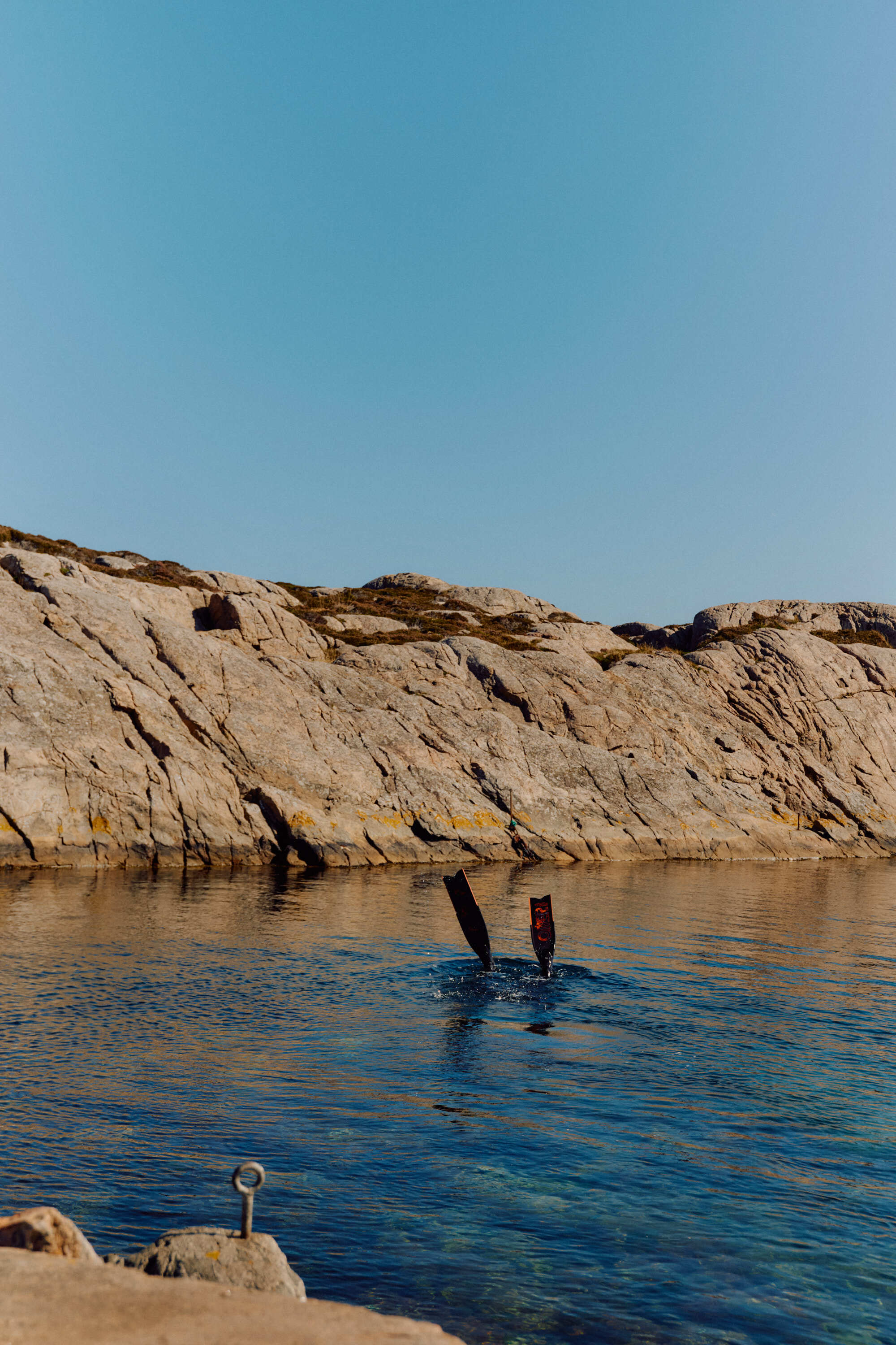 AVE5463 Anne Valeur web