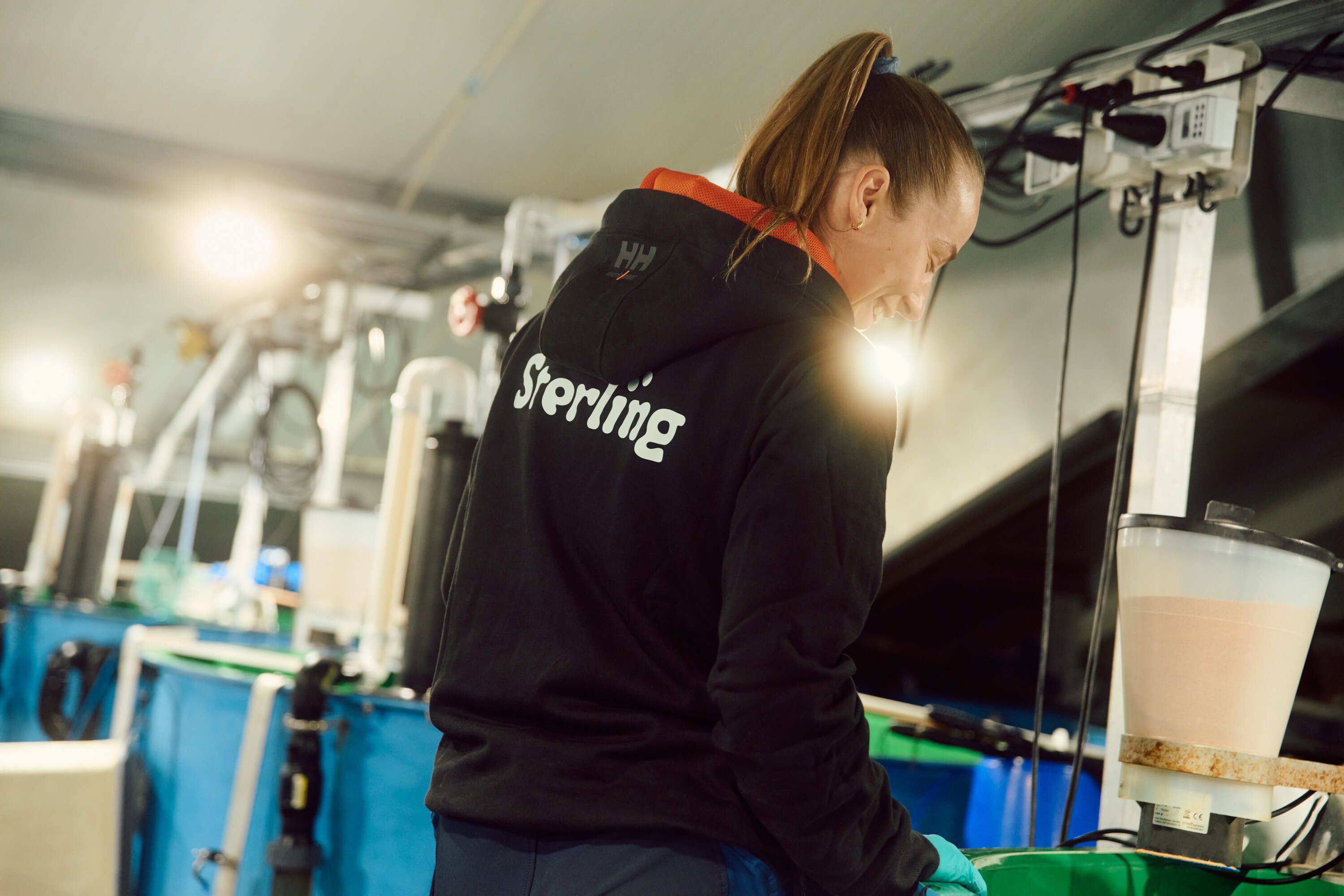 Sterling 2024 AVE 0265