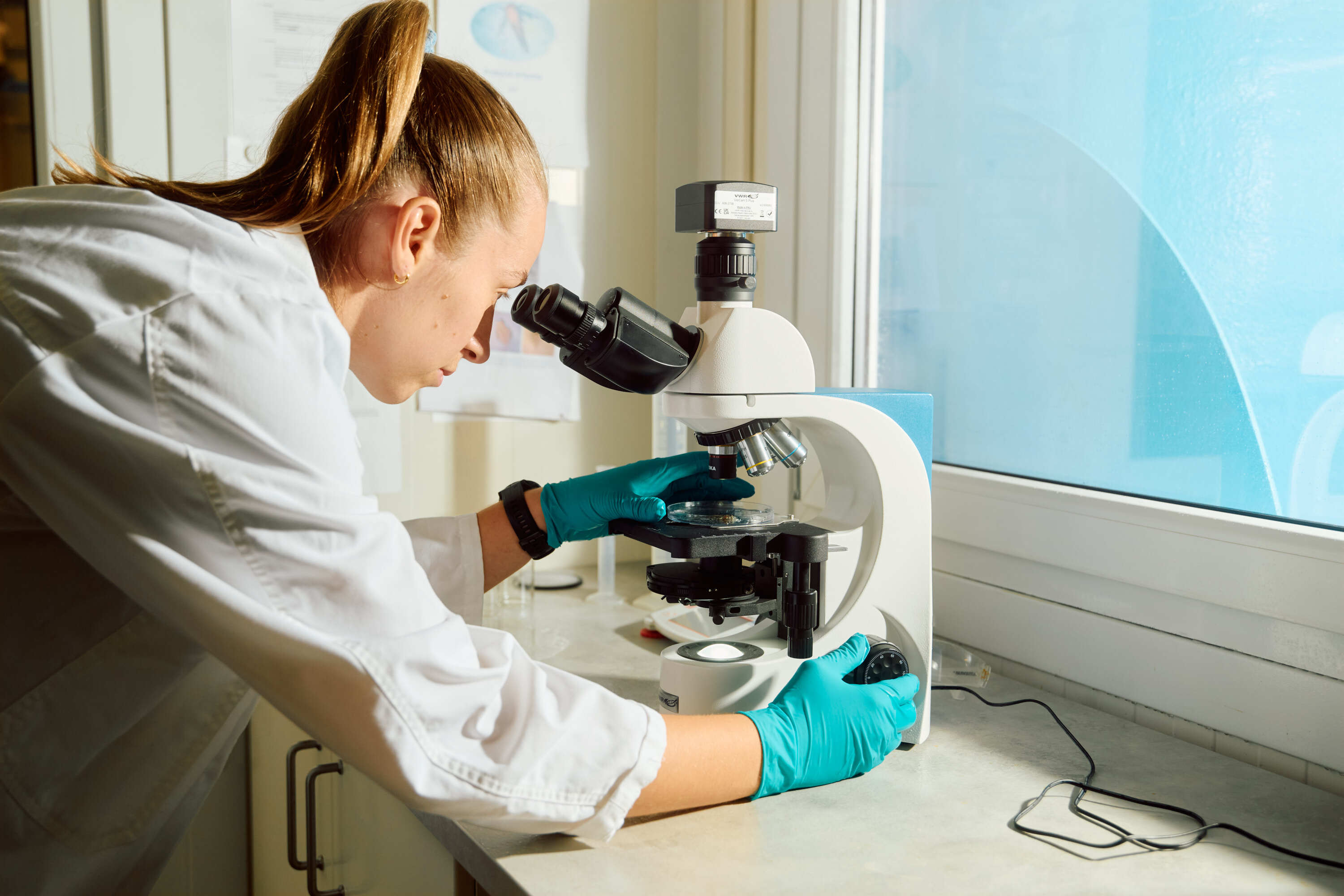 Sterling 2024 AVE 9930