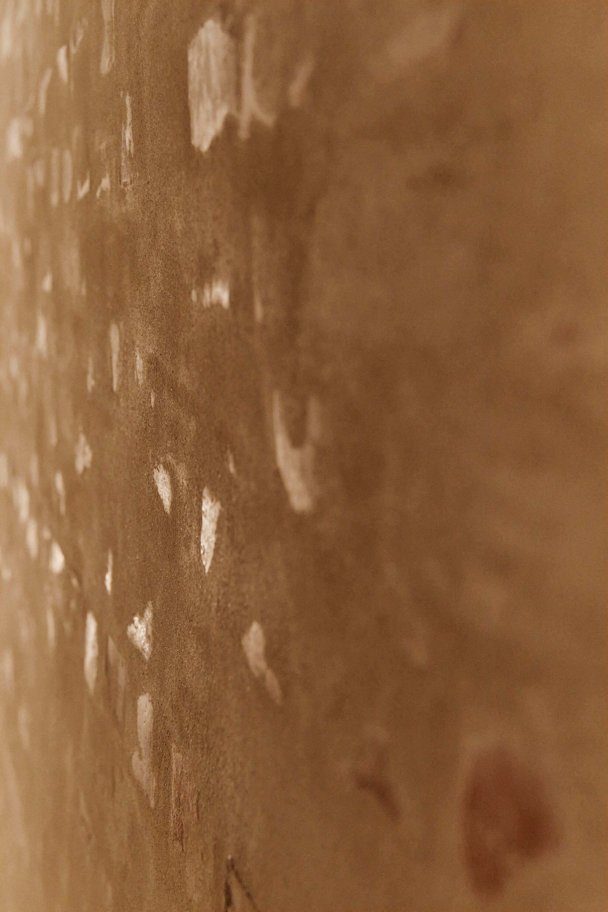 Gronnegata16 Kolab 24563 Anne Valeur web