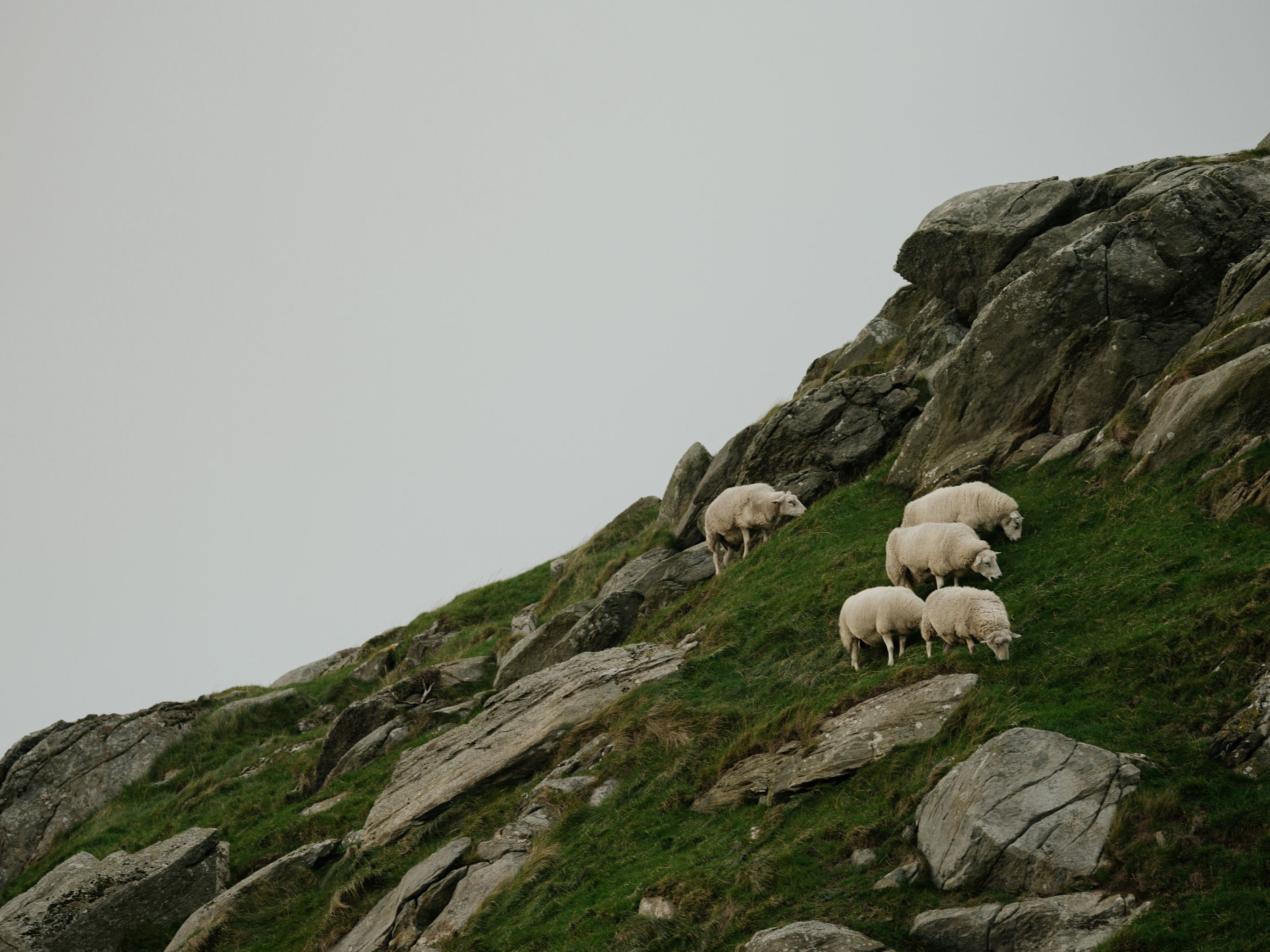 Arkitektkontoret Vest Photo Einar Aslaksen 00864 web V02