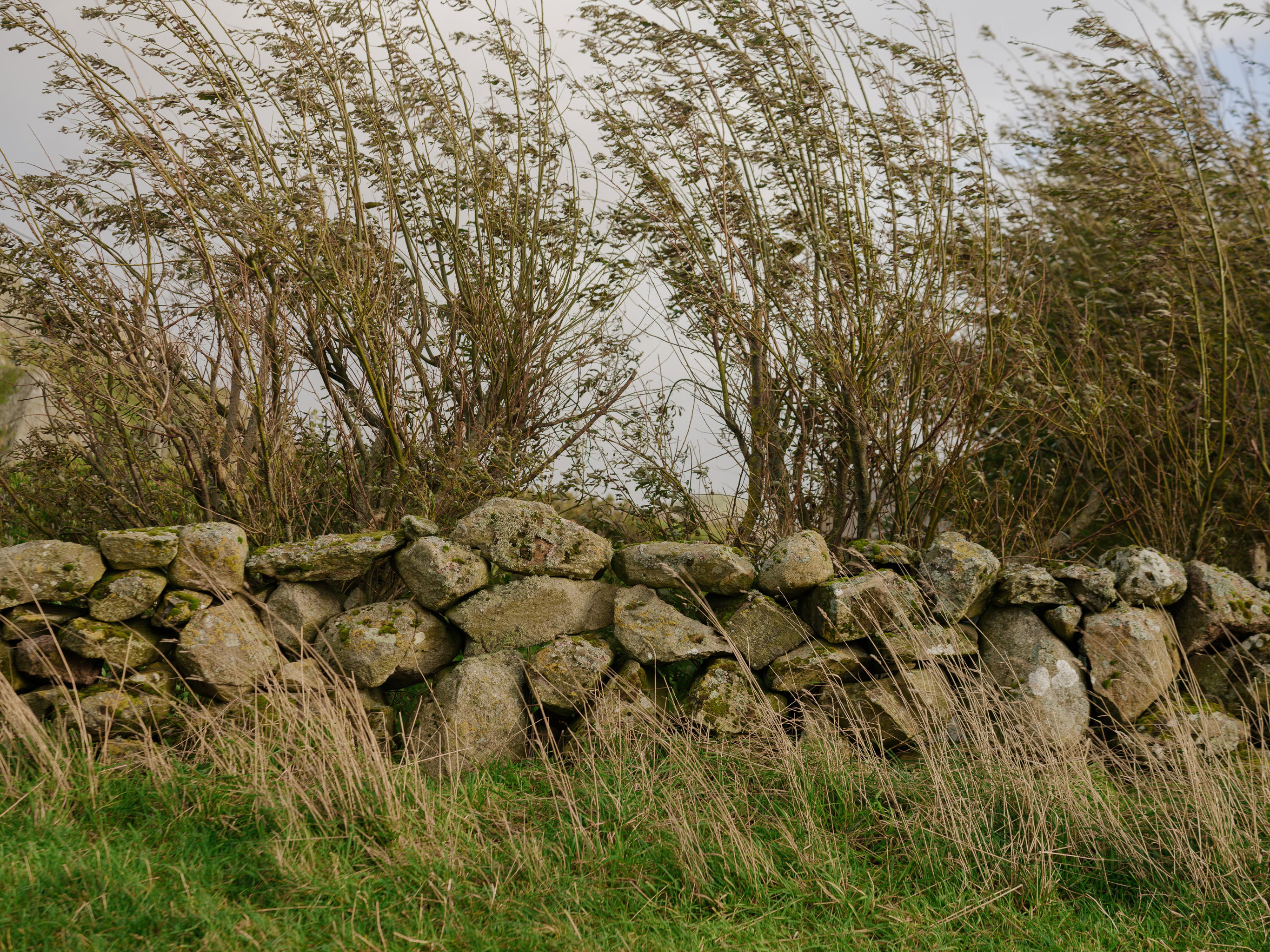 Arkitektkontoret Vest Photo Einar Aslaksen 00896 web V02