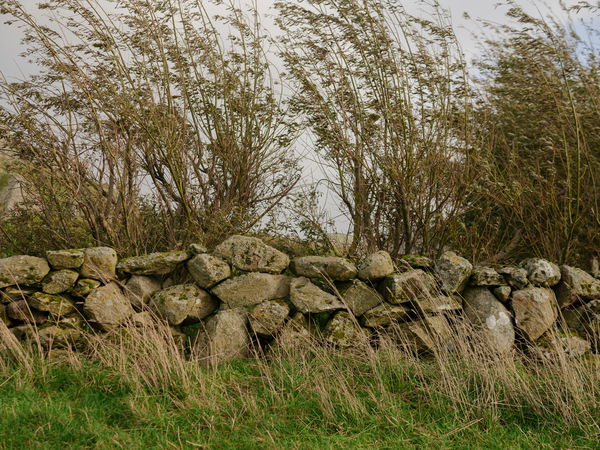 Arkitektkontoret Vest Photo Einar Aslaksen 00896 web V02