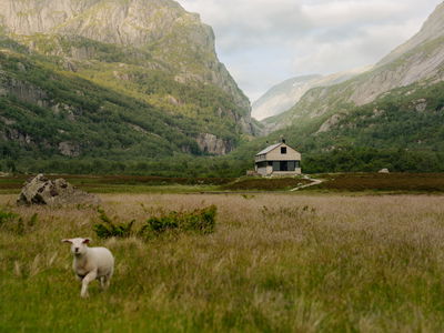 Ark Vest 2024 Vigdalshytta Photo Einar Aslaksen 09015 web